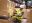 Lorem ipsum dolor sit amet, consectetur adipiscing elit. Praesent dui felis, condimentum sed.