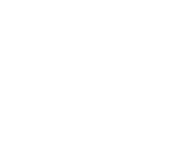 icon-iso